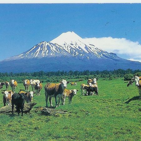 Wheatly Downs Farmstay And Backpackers Hawera Eksteriør billede